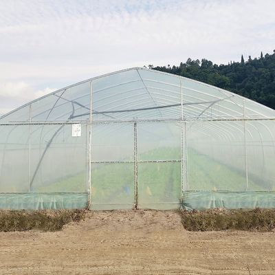 Da agricultura produtiva das estufas do Único-período do sistema de irrigação casa verde para a venda
