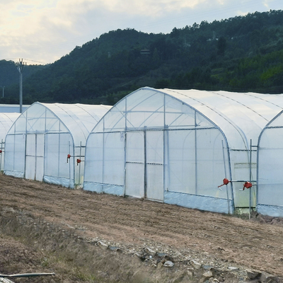 Casas verdes plásticas protegidas UV de polietileno camada poli do túnel da única para a agricultura