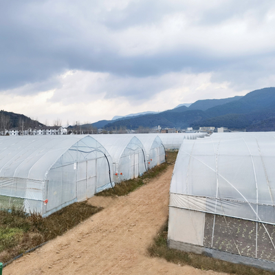 Da agricultura produtiva das estufas do Único-período do sistema de irrigação casa verde para a venda