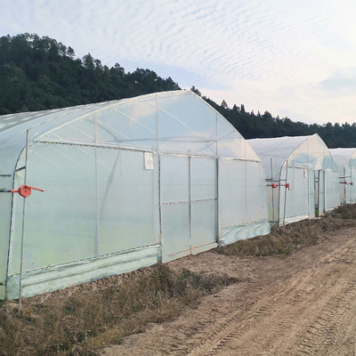 Casas verdes plásticas protegidas UV de polietileno camada poli do túnel da única para a agricultura