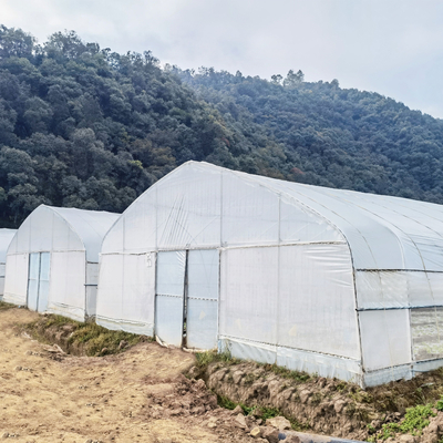 Medidores galvanizados do túnel 30 x 10 da estufa do período da estufa do filme do Pe da armação de aço únicos