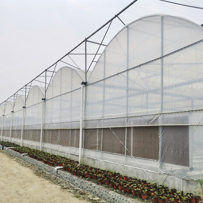 Estufa hidropônica comercial do sistema Multispan do tomate com sistemas de controlo de clima