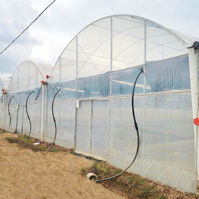 Os projetos Turnkey instalaram estufas agrícolas do Multi-período hidropônico comercial da casa verde de filme plástico