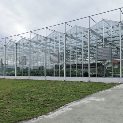 Estufa de vidro do inverno de Venlo das peças sobresselentes da estufa do sistema de aquecimento Serra Di Vetro Multi-Span Greenhouse Venlo