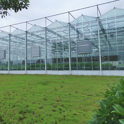 Estufa de vidro do inverno de Venlo das peças sobresselentes da estufa do sistema de aquecimento Serra Di Vetro Multi-Span Greenhouse Venlo