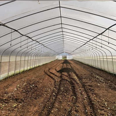 Medidores galvanizados do túnel 30 x 10 da estufa do período da estufa do filme do Pe da armação de aço únicos