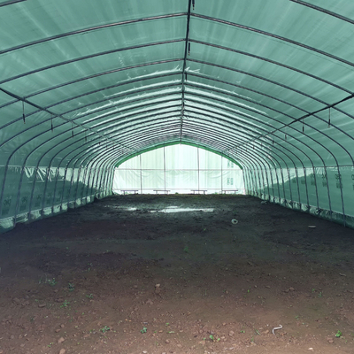 Preto Mesh Mushroom Cultivation In Greenhouses da estufa do período da dupla camada único