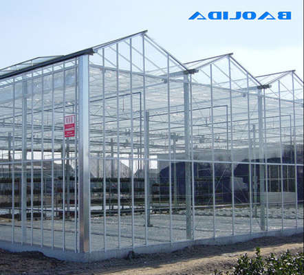 Estrutura forte alta ISO9001 da grande estufa de vidro de Venlo do tamanho