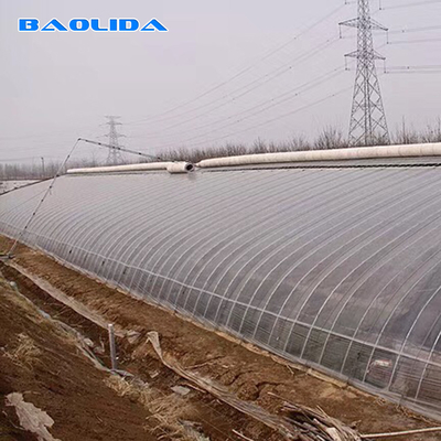 Estufa solar passiva de estrutura de aço com sistema de irrigação automática