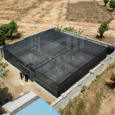 Quadro de estufa retangular de aço de baixo preço com rede de sombra para áreas tropicais