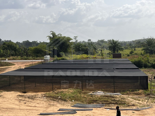 Taxa de armazenamento barata Área tropical Ventilação Rede de plástico Retângulo Estufa com rede de sombra