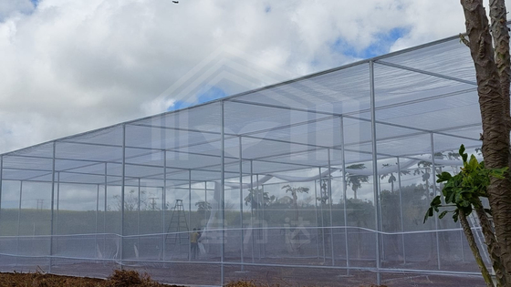 Taxa de armazenamento barata Área tropical Ventilação Rede de plástico Retângulo Estufa com rede de sombra