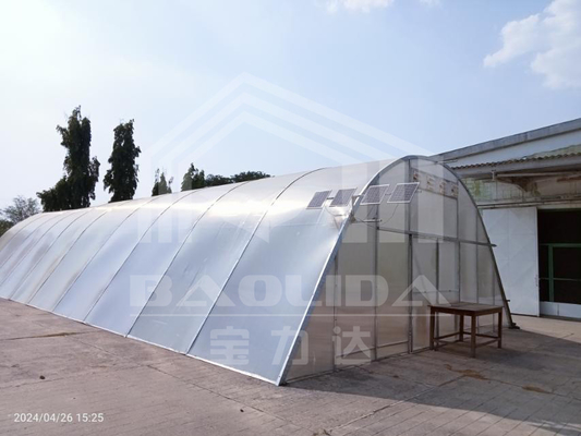 Estufas de policarbonato facilmente montadas para secagem eficiente de plantas com proteção personalizada e proteção UV