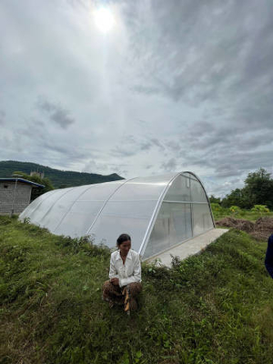 Aquecido galvanizado aço estrutura policarbonato secador solar estufa com estrutura estável dentro sistema de sombreamento exterior