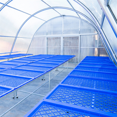 Estufas de secagem solar de policarbonato personalizadas com proteção UV para secagem de plantas e alimentos