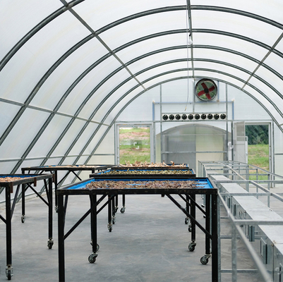 Estufas de secagem solar de policarbonato personalizadas com proteção UV para secagem de plantas e alimentos