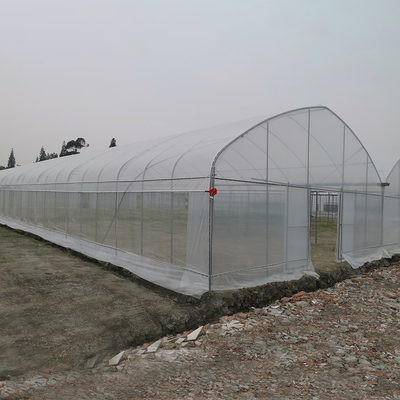 Resistente ao vento UV Net House Estufas Controlador Ambiental Estufas Multi-span