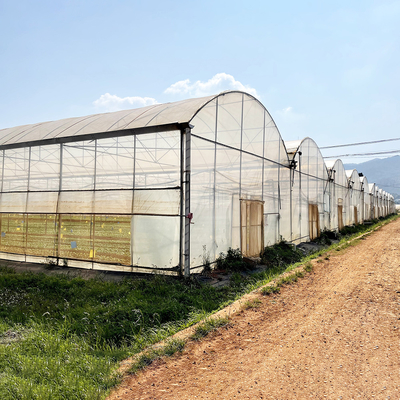 Resistente ao vento UV Net House Estufas Controlador Ambiental Estufas Multi-span