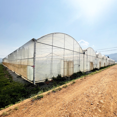 Resistente ao vento UV Net House Estufas Controlador Ambiental Estufas Multi-span