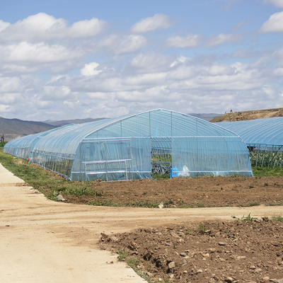 Venda a quente Estufas de túnel poliestufas Estufas agrícolas de solo único para o cultivo de morangos