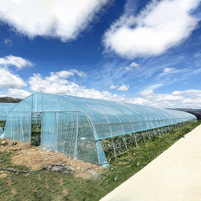 Venda a quente Estufas de túnel poliestufas Estufas agrícolas de solo único para o cultivo de morangos