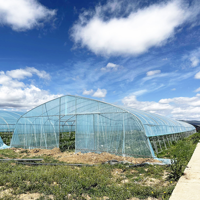 Venda a quente Estufas de túnel poliestufas Estufas agrícolas de solo único para o cultivo de morangos