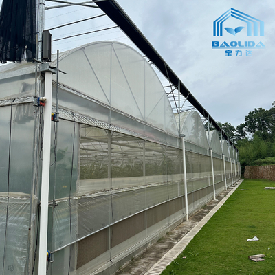 Tubos Galvanizados Inteligentes Tubo de Aço Tomate Filme de Plástico Arco Estufa Agrícola Estufa Multi-span Para Venda