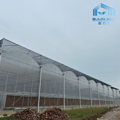 Tubos Galvanizados Inteligentes Tubo de Aço Tomate Filme de Plástico Arco Estufa Agrícola Estufa Multi-span Para Venda
