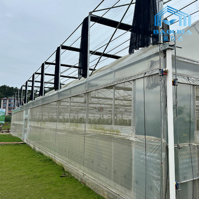 Tubos Galvanizados Inteligentes Tubo de Aço Tomate Filme de Plástico Arco Estufa Agrícola Estufa Multi-span Para Venda