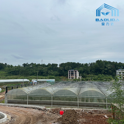 Tubos Galvanizados Inteligentes Tubo de Aço Tomate Filme de Plástico Arco Estufa Agrícola Estufa Multi-span Para Venda