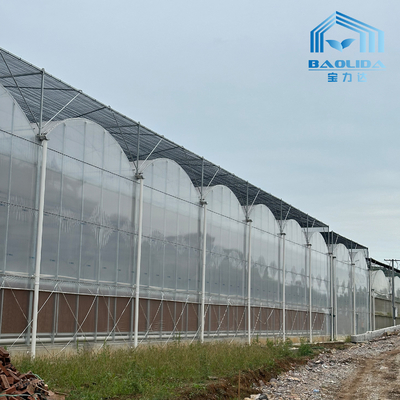 Tubos Galvanizados Inteligentes Tubo de Aço Tomate Filme de Plástico Arco Estufa Agrícola Estufa Multi-span Para Venda