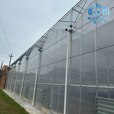 Tubos Galvanizados Inteligentes Tubo de Aço Tomate Filme de Plástico Arco Estufa Agrícola Estufa Multi-span Para Venda