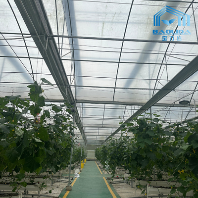 Tubos Galvanizados Inteligentes Tubo de Aço Tomate Filme de Plástico Arco Estufa Agrícola Estufa Multi-span Para Venda