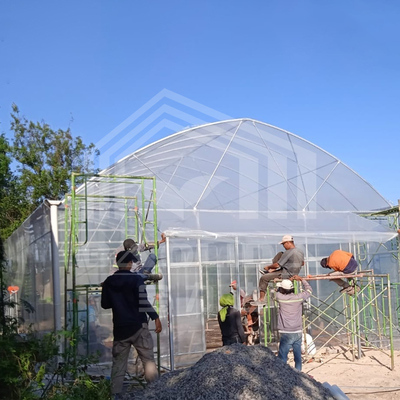 Arco redondo Ventilação lateral Túnel de plástico Estufas Comércio Estufas de framboesa