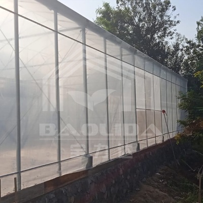 Arco redondo Ventilação lateral Túnel de plástico Estufas Comércio Estufas de framboesa