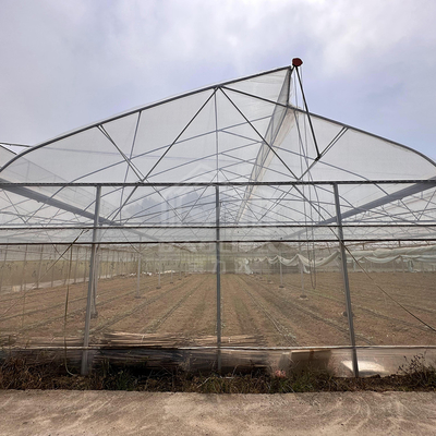 Sistema de controlo de ventilação de refrigeração de áreas tropicais Teado de dente de serra Multi-espaço Poli Estufas