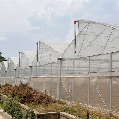 Sistema de controlo de ventilação de refrigeração de áreas tropicais Teado de dente de serra Multi-espaço Poli Estufas