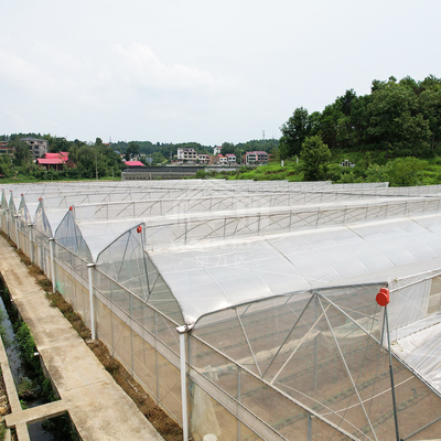 Sistema de controlo de ventilação de refrigeração de áreas tropicais Teado de dente de serra Multi-espaço Poli Estufas