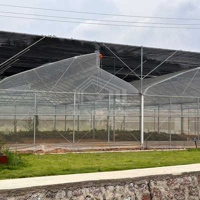 Sistema de controlo de ventilação de refrigeração de áreas tropicais Teado de dente de serra Multi-espaço Poli Estufas