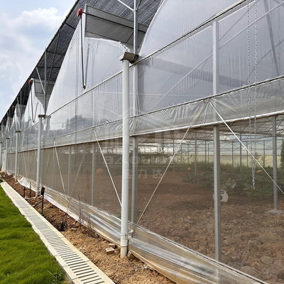 Sistema de controlo de ventilação de refrigeração de áreas tropicais Teado de dente de serra Multi-espaço Poli Estufas