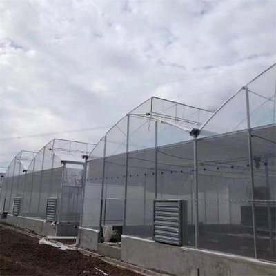 Tubo de aço galvanizado a quente Casa de estufa Casa de estufa de plástico de serradura multi-span