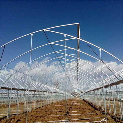 Tubo de aço galvanizado a quente Casa de estufa Casa de estufa de plástico de serradura multi-span