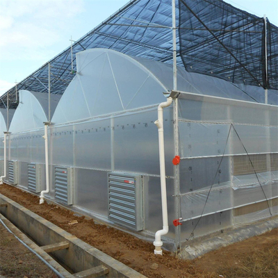 Tubo de aço galvanizado a quente Casa de estufa Casa de estufa de plástico de serradura multi-span