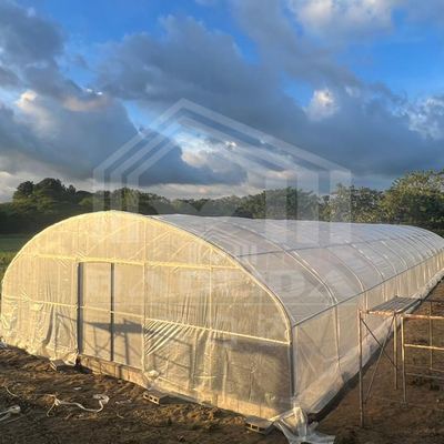 Agropecuária Planta de crescimento de galpão Venda de estufa online 20m de túnel Estufa de única extensão