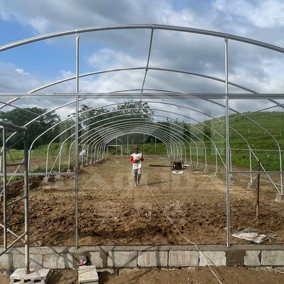 Agropecuária Planta de crescimento de galpão Venda de estufa online 20m de túnel Estufa de única extensão