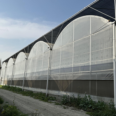 Agricultura Grande estufa Estrutura metálica vegetais de crescimento multi-espessura túnel multi-espessura estufa de filme