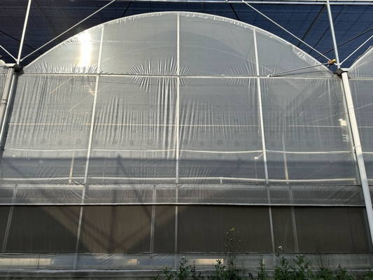 Agricultura Grande estufa Estrutura metálica vegetais de crescimento multi-espessura túnel multi-espessura estufa de filme