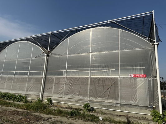 Agricultura Grande estufa Estrutura metálica vegetais de crescimento multi-espessura túnel multi-espessura estufa de filme