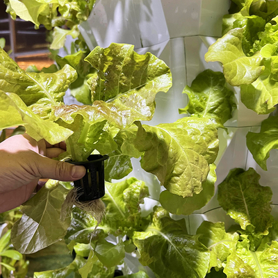 65L 6 camada 48 buracos de planta Sistema de gotejamento de torre hidropônica Personalize o número de camadas para eficiência