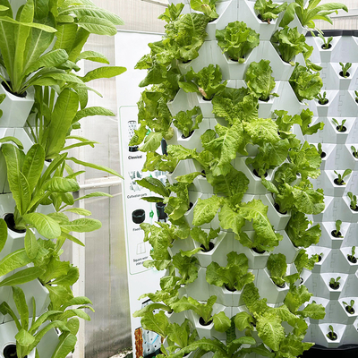 Sistema de cultivo hidropónico compacto e versátil para poupança de espaço